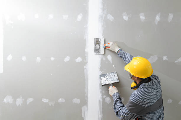 Asbestos and Lead Testing During Mold Inspection in Lytle, TX